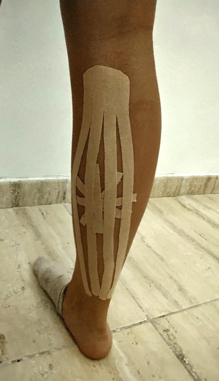 Imagen Galería: 